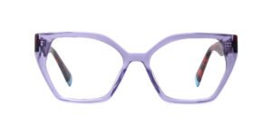 Wholesale Optical Frames Series RD25001